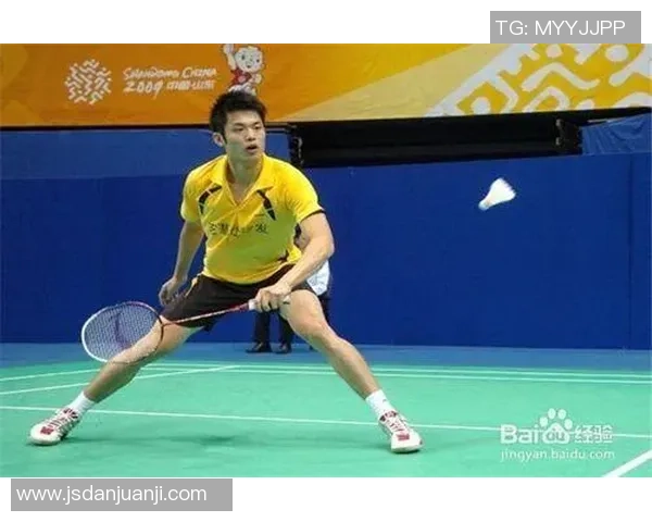 上海羽毛球队区域防守策略揭秘深度解析其战术与训练方法